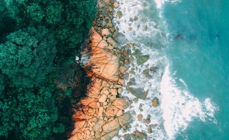 foto de cima beira mar com pedras e árvores