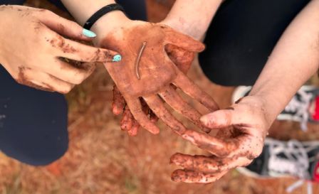 mãos sujas de terra com uma minhoca