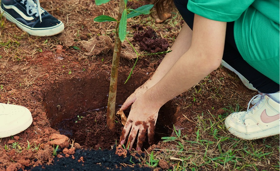 criança plantando árvore